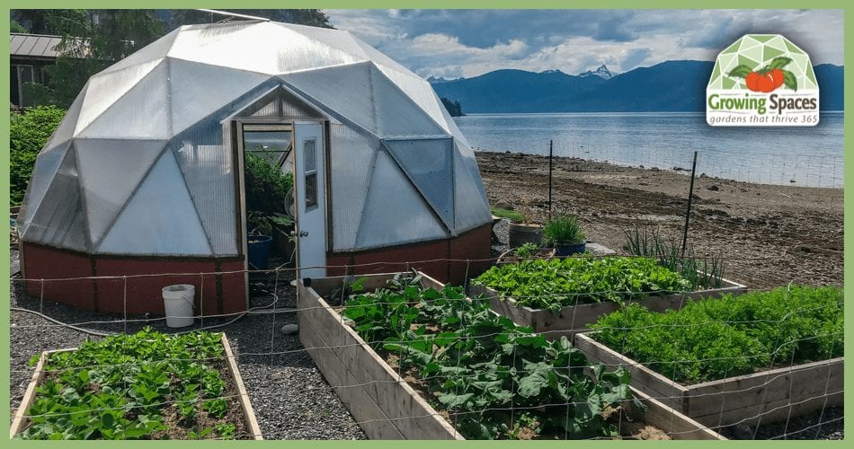 Growing Dome Greenhouse in Alaska Fresh produce on Wrangell Island