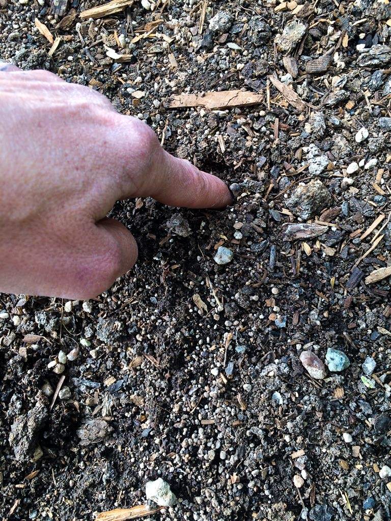 How to Improve Garden Soil Over the Winter Growing Spaces Greenhouses
