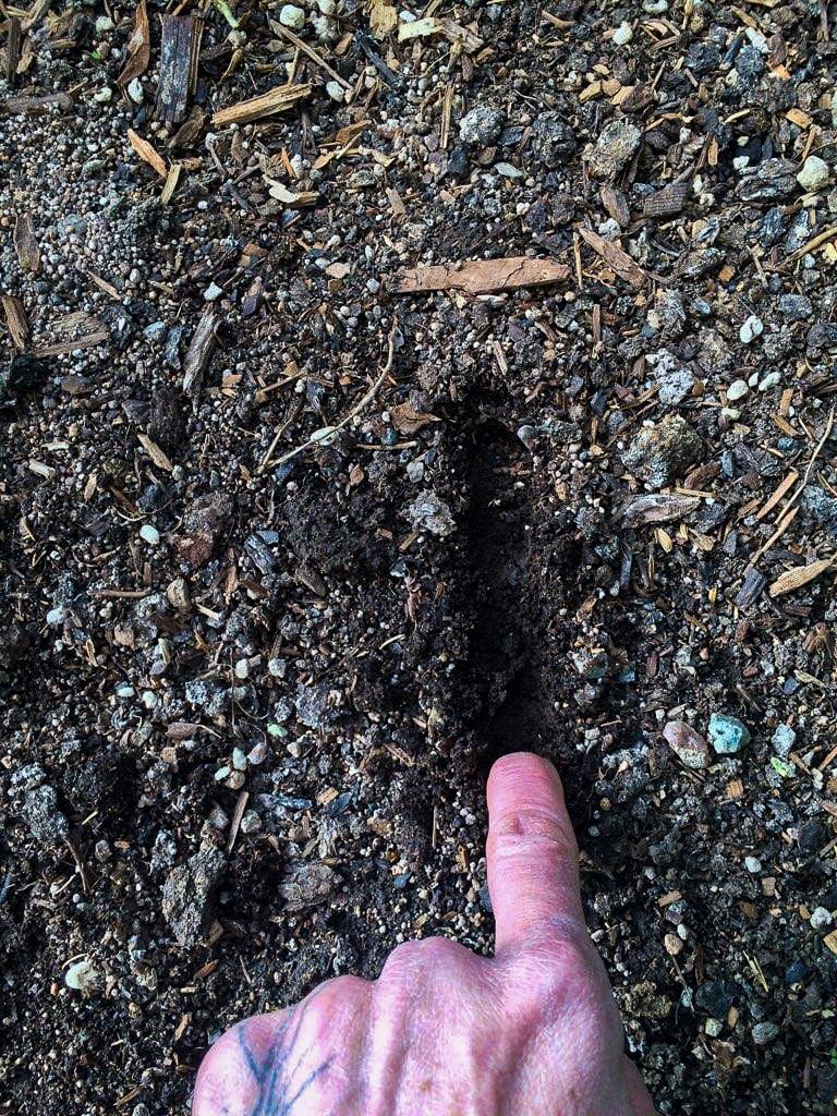 How to Improve Garden Soil Over the Winter Growing Spaces Greenhouses