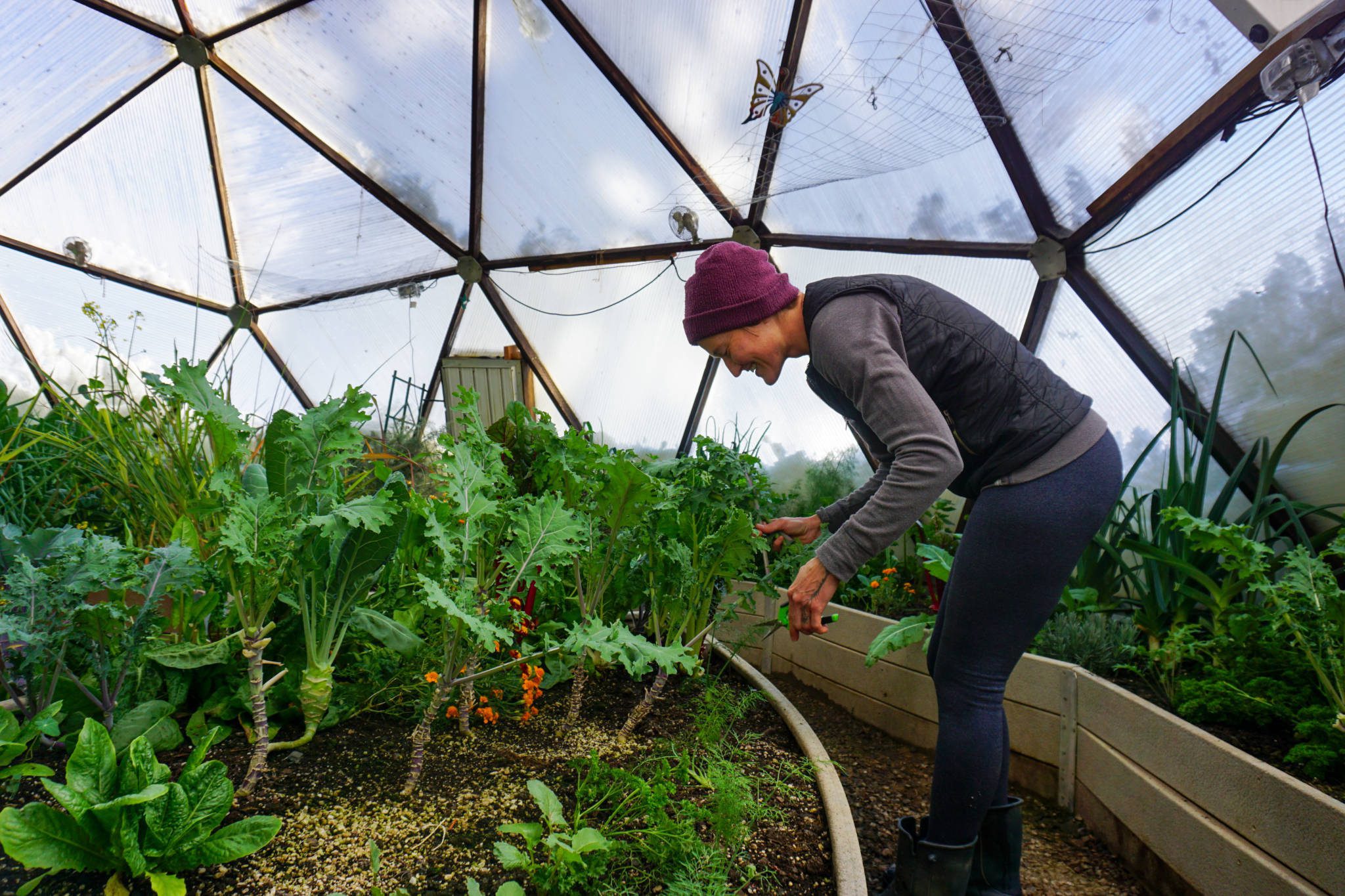 Winter Greenhouse Gardening in a Growing Dome