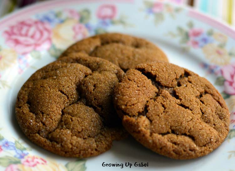 Sugar and Spice Molasses Cookie Recipe