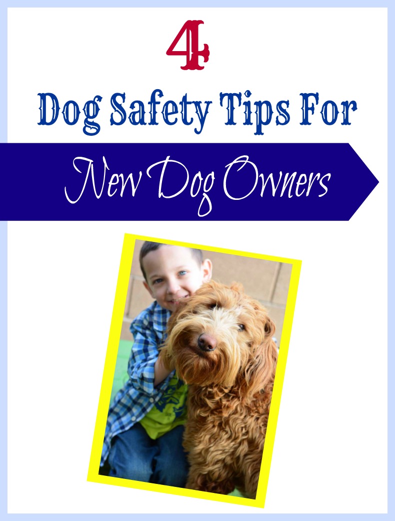 Ad 4 Dog Safety Tips For New Dog Owners