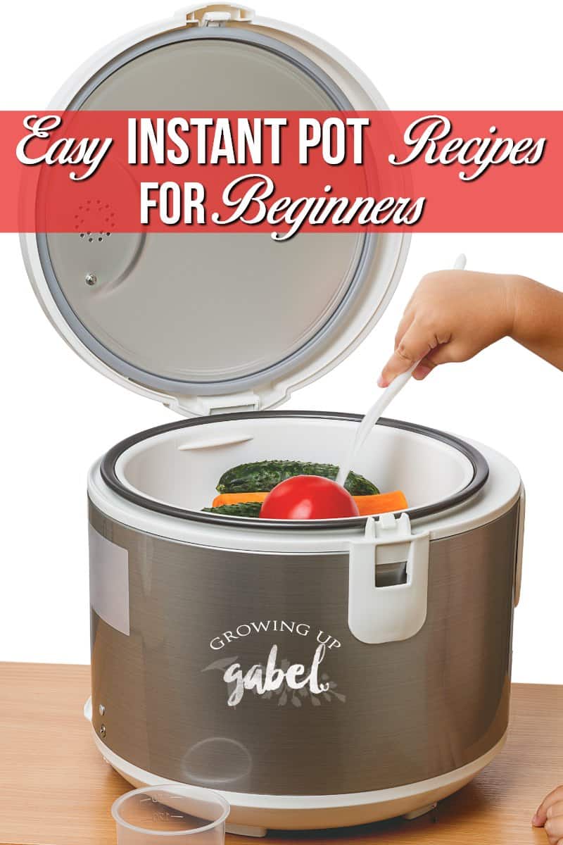 Easy Instant Pot Recipes for Beginners