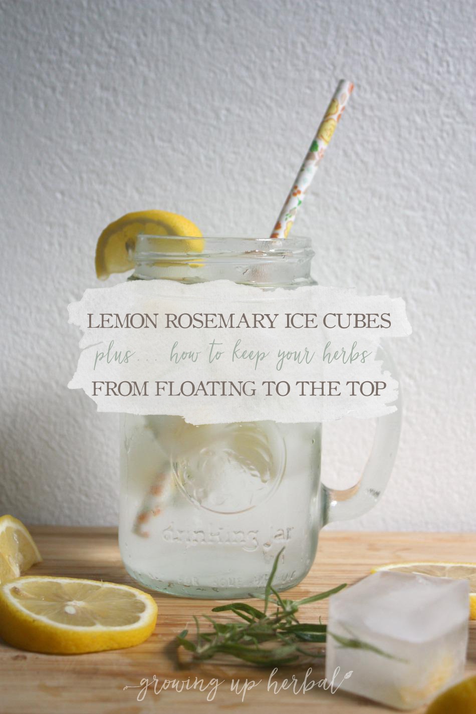 Lemon Rosemary Ice Cubes Growing Up Herbal