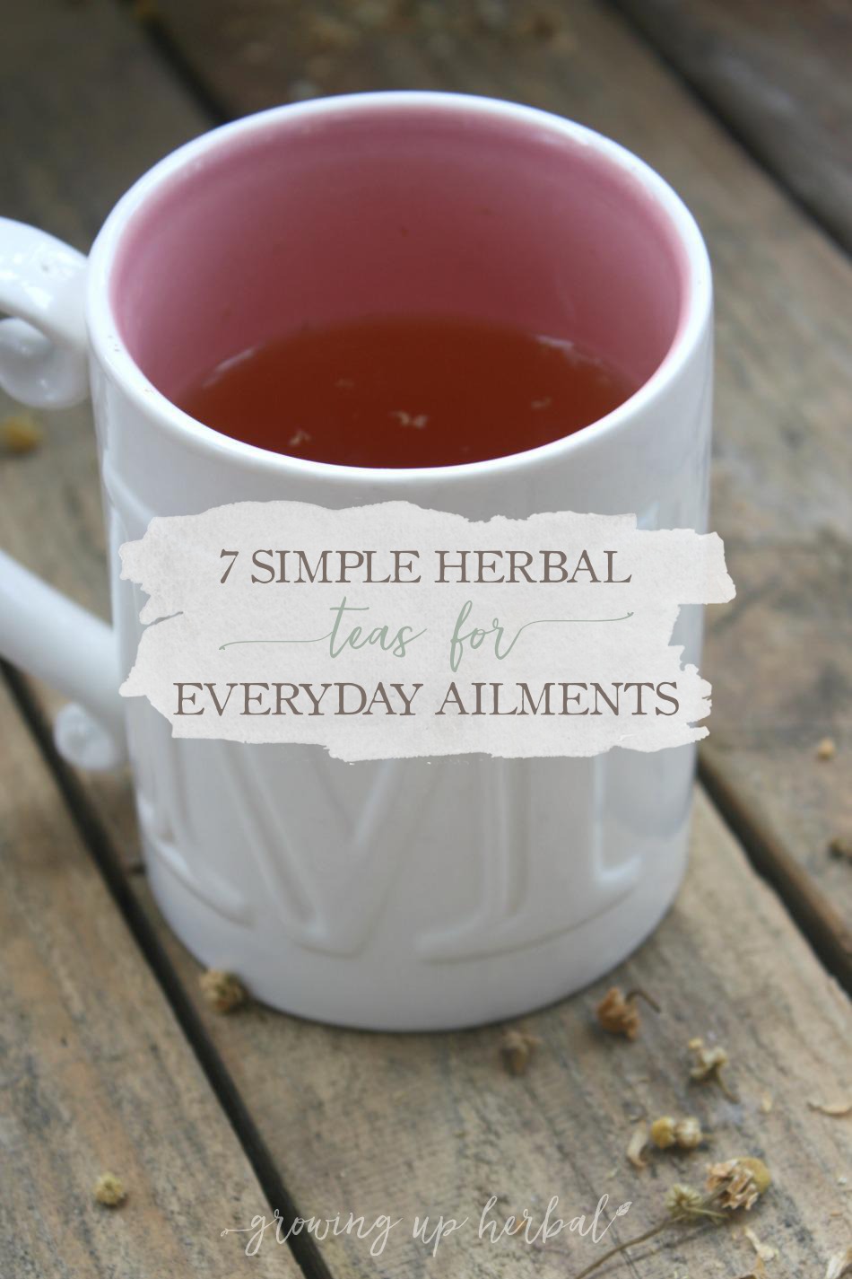 7 Simple Herbal Teas For Everyday Ailments Growing Up Herbal