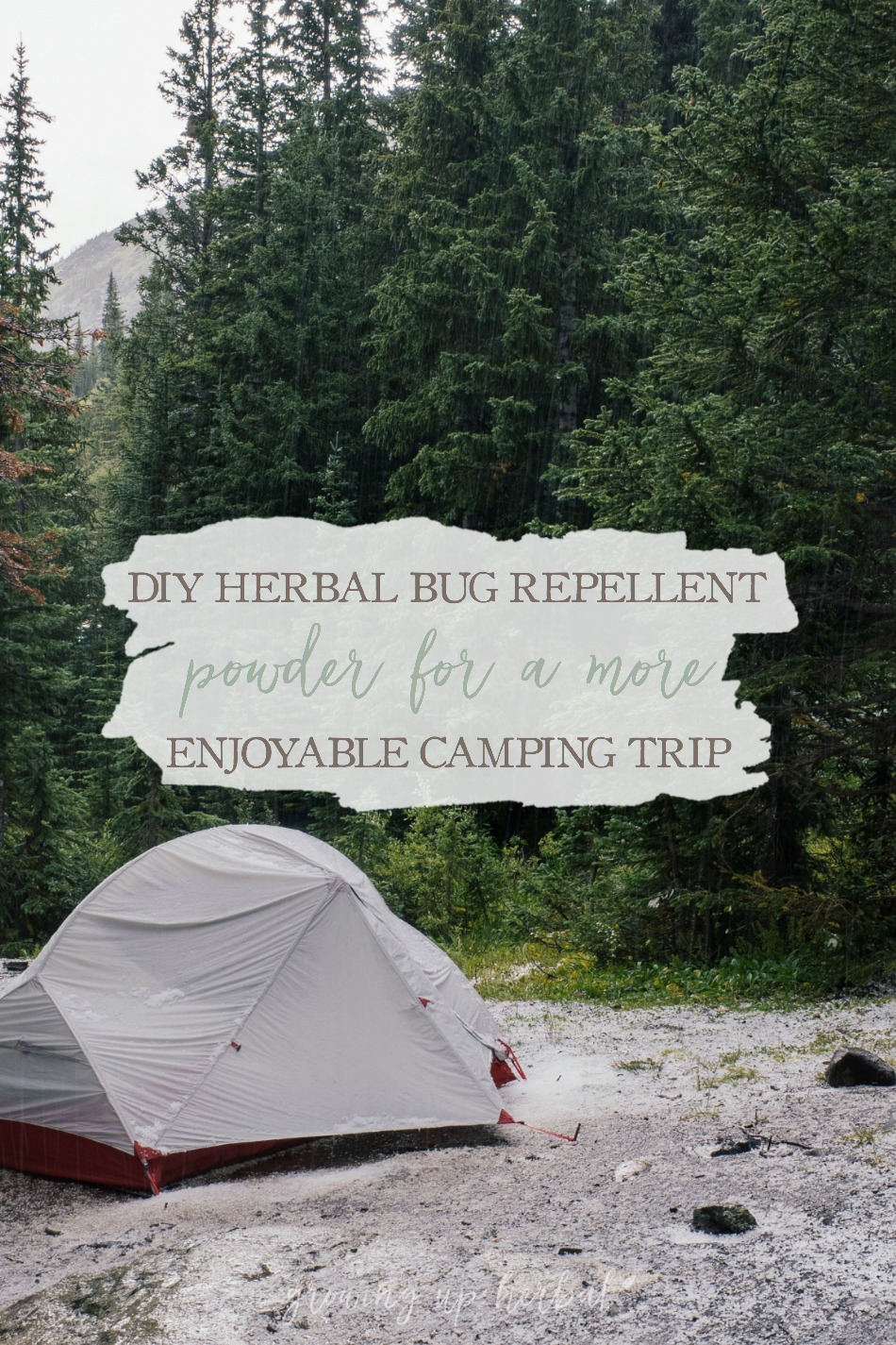 DIY Herbal Bug Repellent Powder For Camping