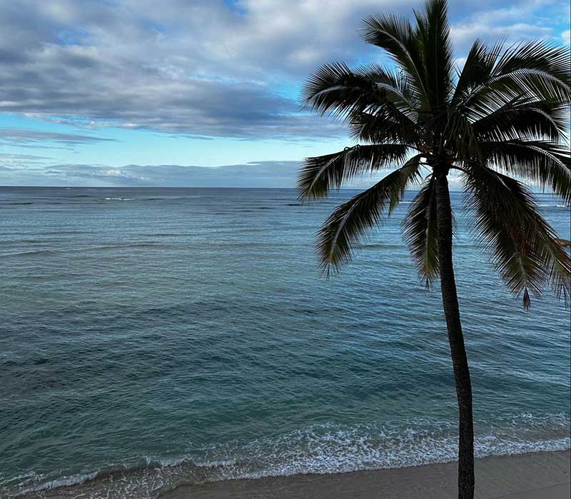 Aloha Santa Cruz Growing Up in Santa Cruz