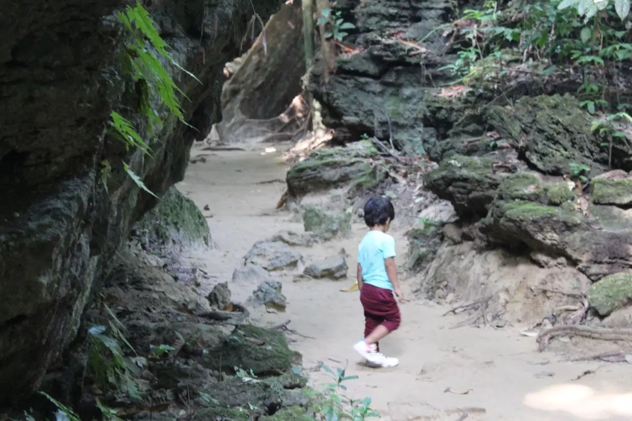 Visiting the Limestone Caves at Baratang with Kids Things to know!
