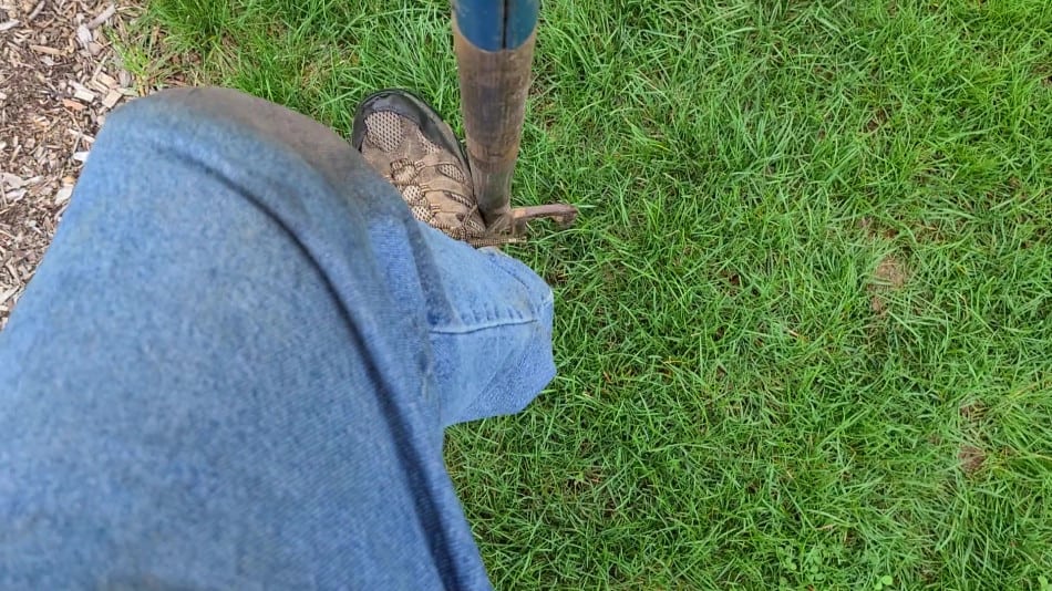 Top Dress Your Lawn With Compost For Big Soil Improvements GrowIt BuildIT