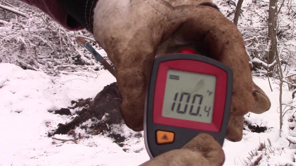 How To Hot Compost In Winter A Complete Tutorial GrowIt BuildIT