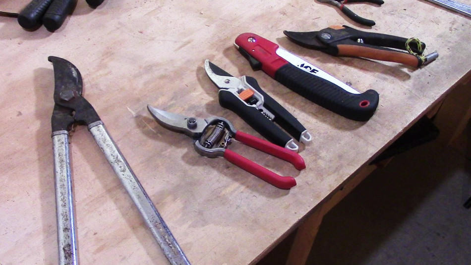 The Ultimate Guide To Pruning Tools GrowIt BuildIT