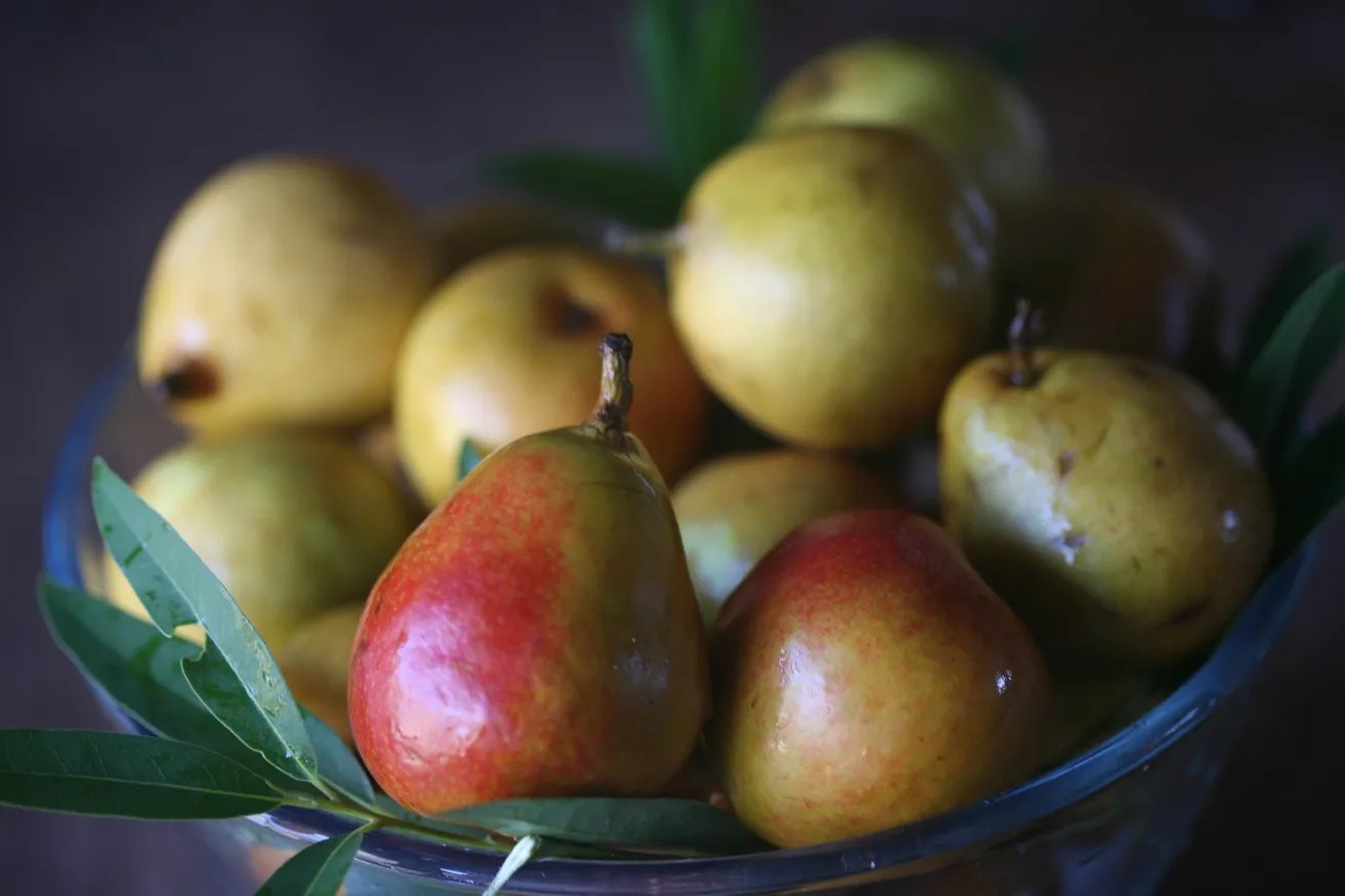 Seckel Pears Canned In Red Wine Syrup Grow it Cook it Can it