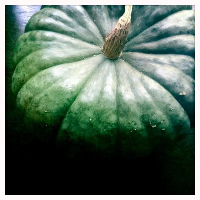 How to make Queensland Blue Pumpkin Butter Grow it Cook it Can it