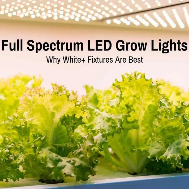 Best Full Spectrum LED Grow Lights (Why White+ Fixtures Are Best)
