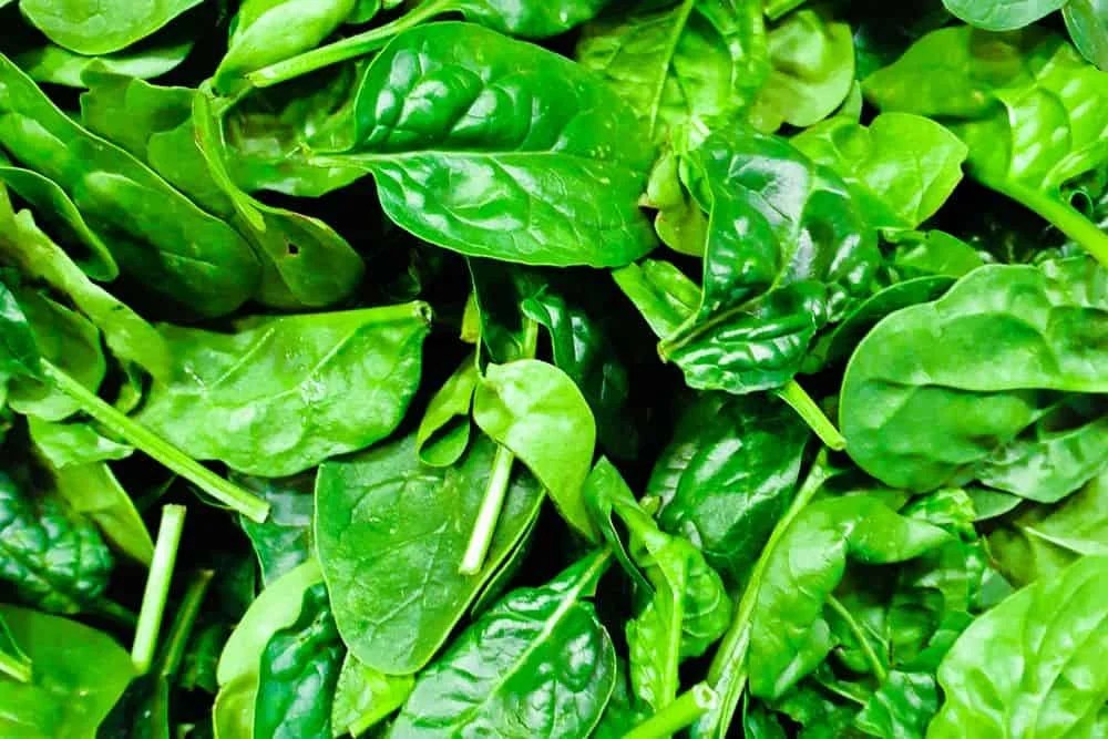 Best Vegetables To Grow Indoors Under Lights (11 Great Choices)