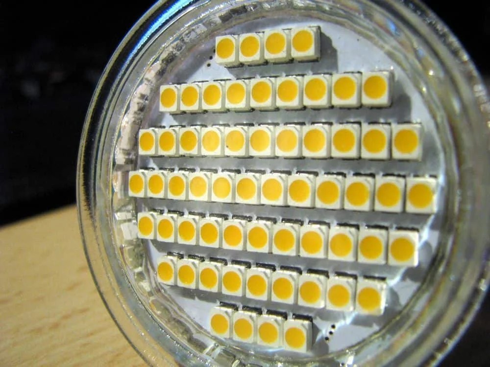 Grow Light Vs Regular Light (What You Need To Know)