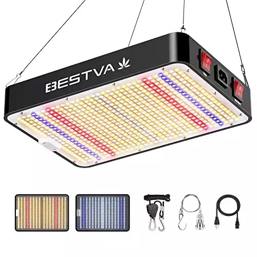 Best LED Grow Light Under 100 (Reviewed And Compared)