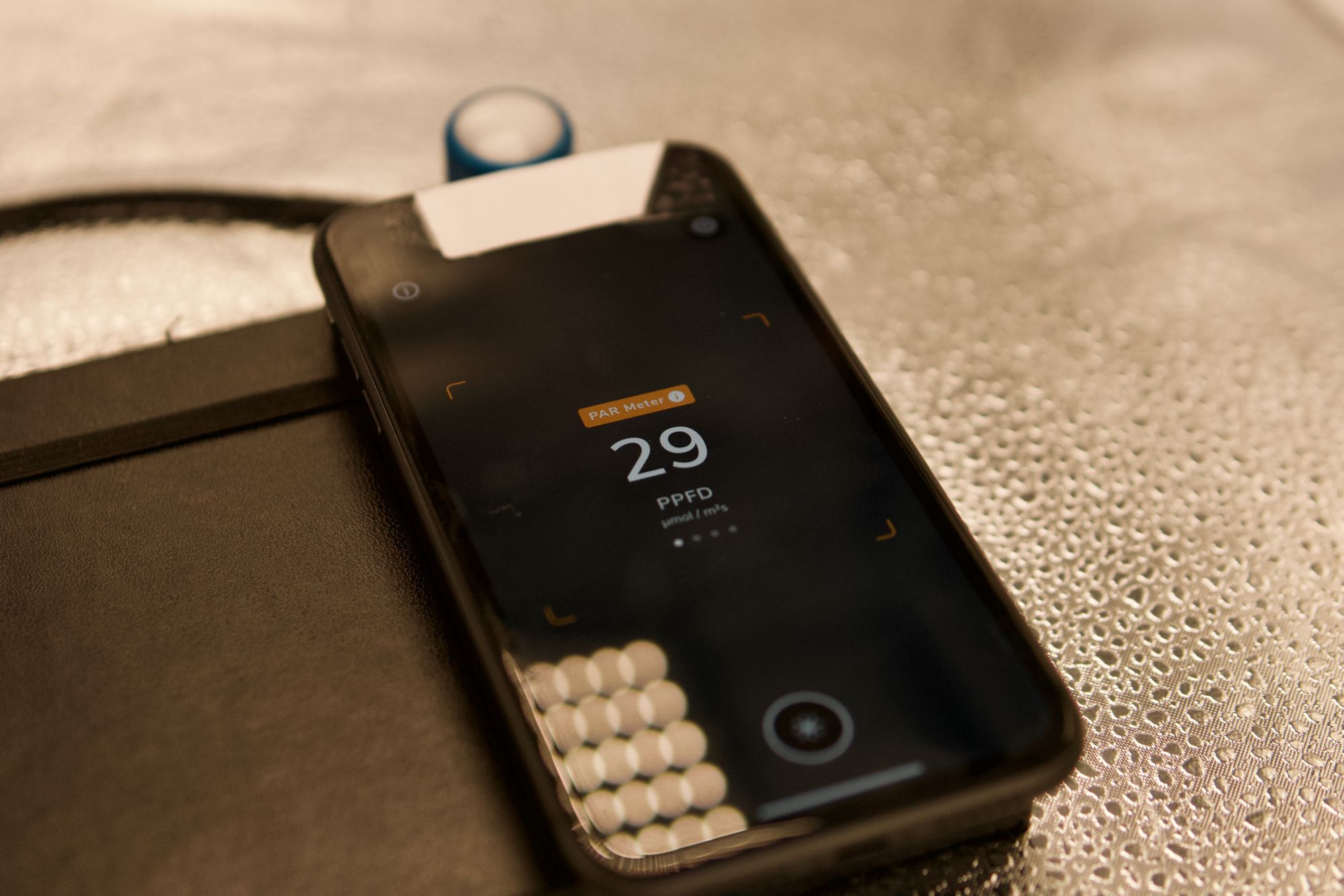 The Best Light Meter App For Plants in 2021