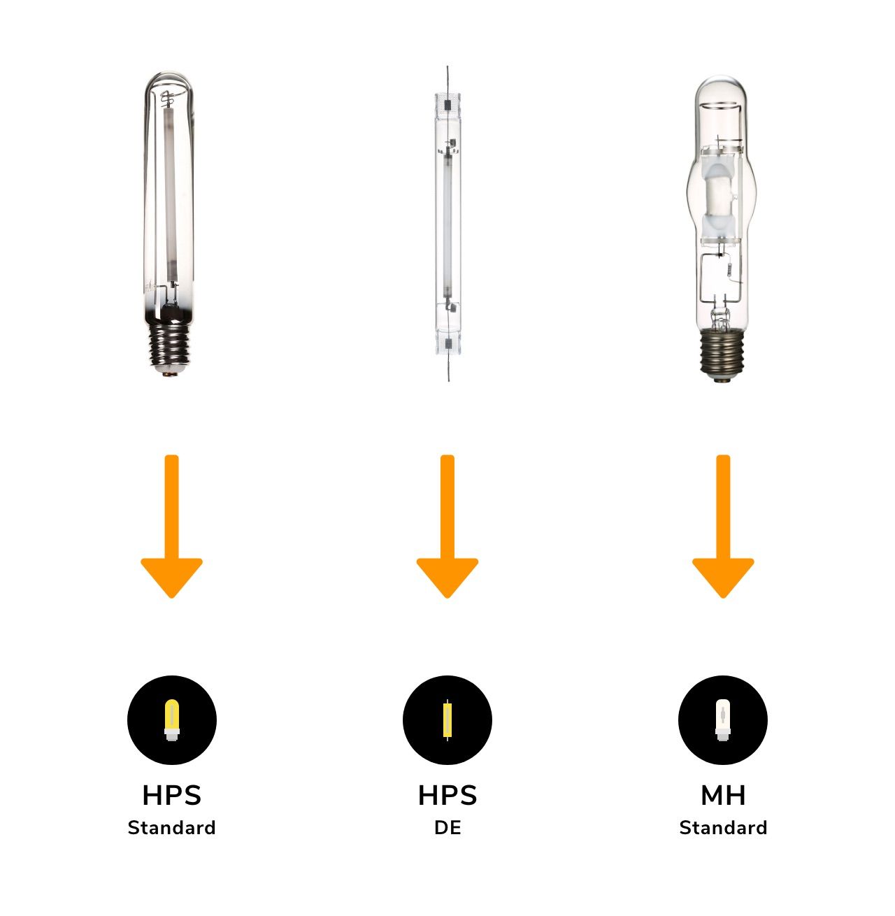 Photone Grow Light Meter
