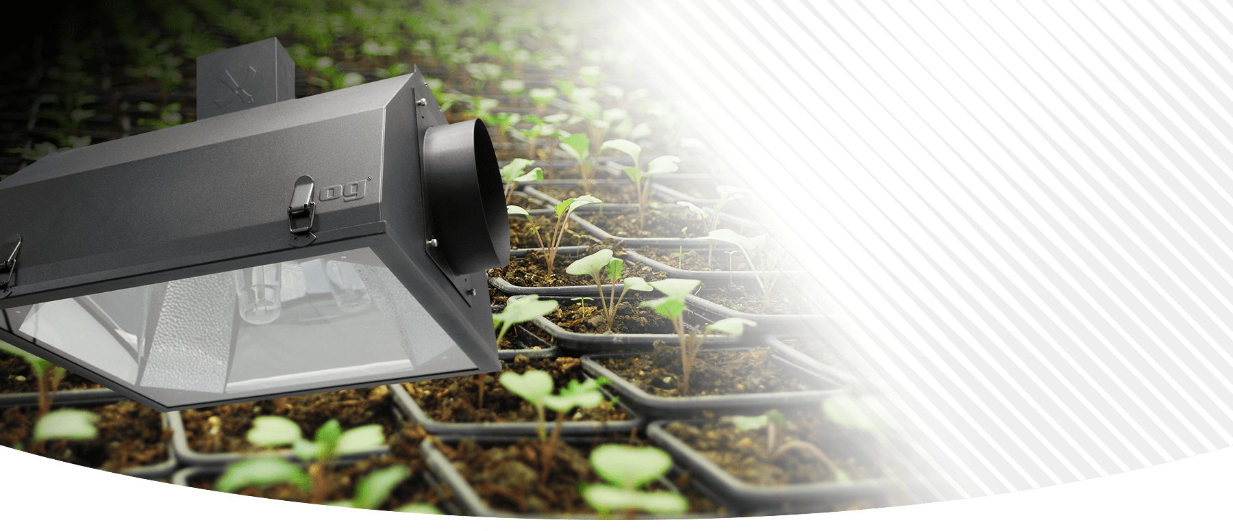 HID Grow Lights Growlite