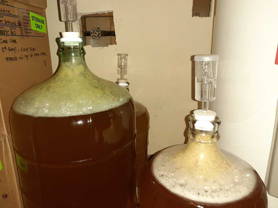 How To Brew Hard Apple Cider Grow Shop