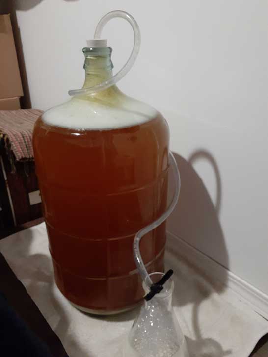 How To Brew Hard Apple Cider Grow Shop
