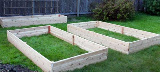 Raised Garden Beds Benefits & How To Choose One For You Growmuse