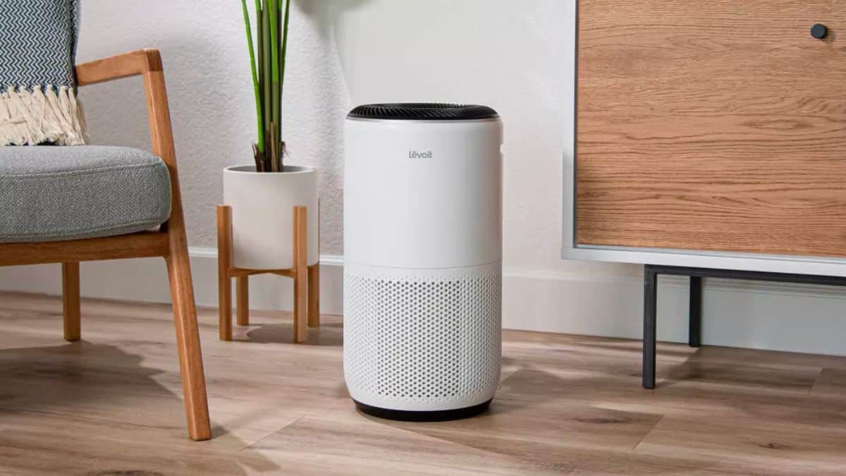 The 5 Best Air Purifiers for Dorm Rooms of 2024 Grown and Flown