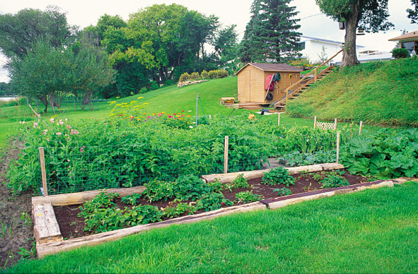 Preparing Beds, Hills and Rows Grown By You