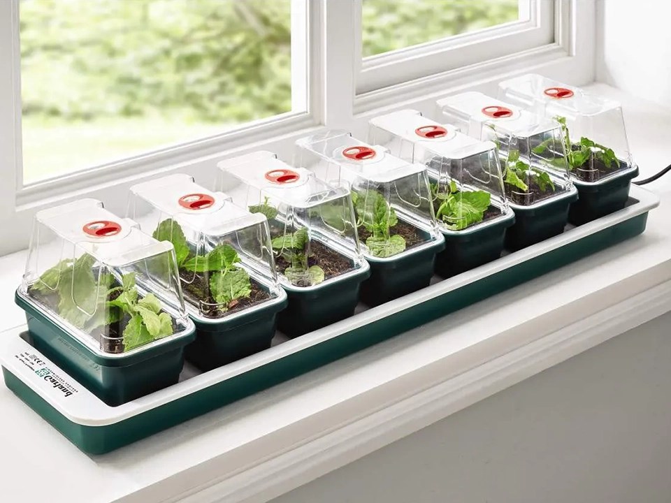 Super 7 Electric Windowsill Propagator Grown Local