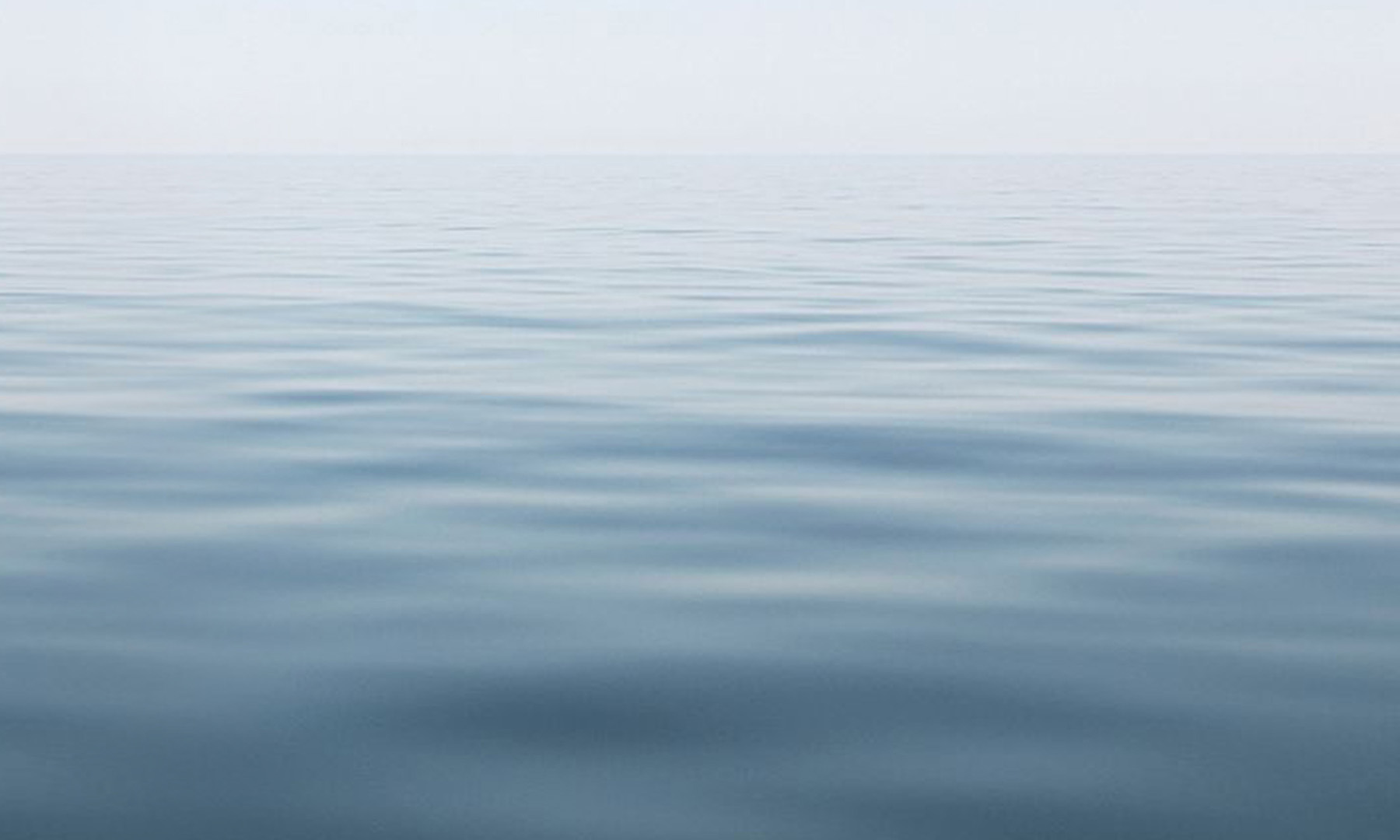 Book Giveaway Calmony GrownUps New Zealand