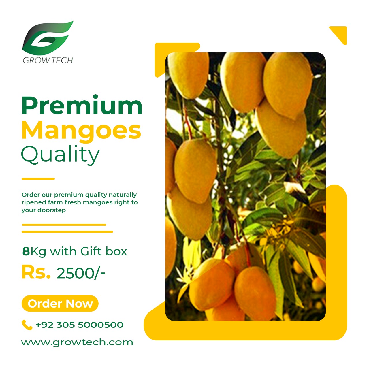 Mangoes GrowPak Store