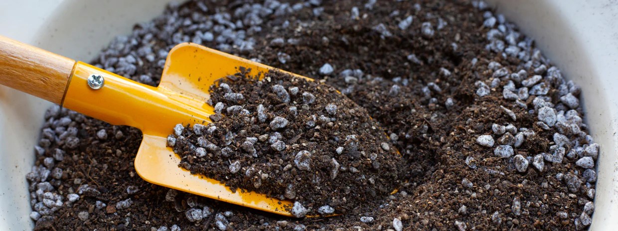 Prepare Soil for Container Citrus Trees – GrowScripts