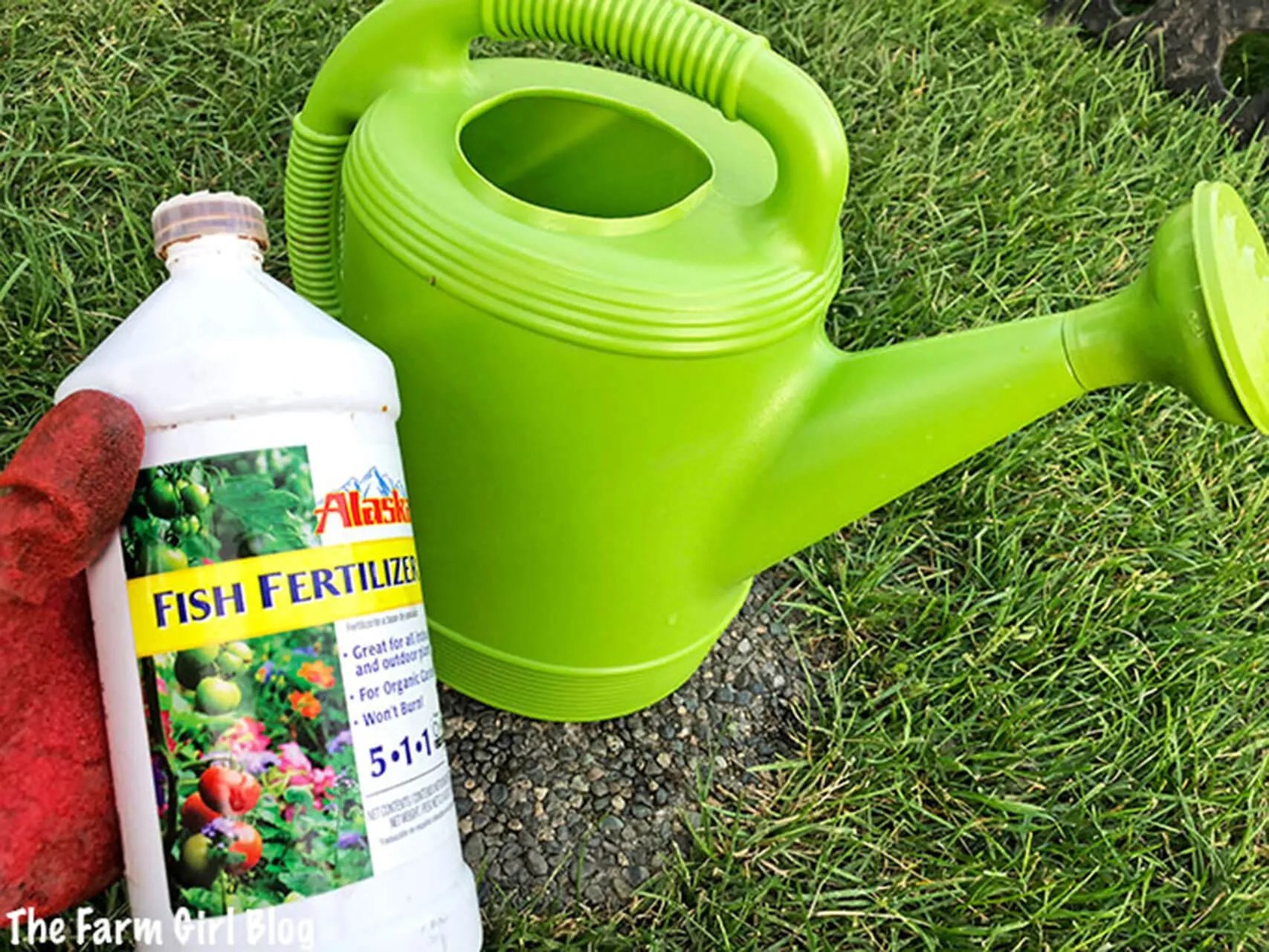 Boosting Tomato Harvests 8 Essential Ingredients for Optimal Growth