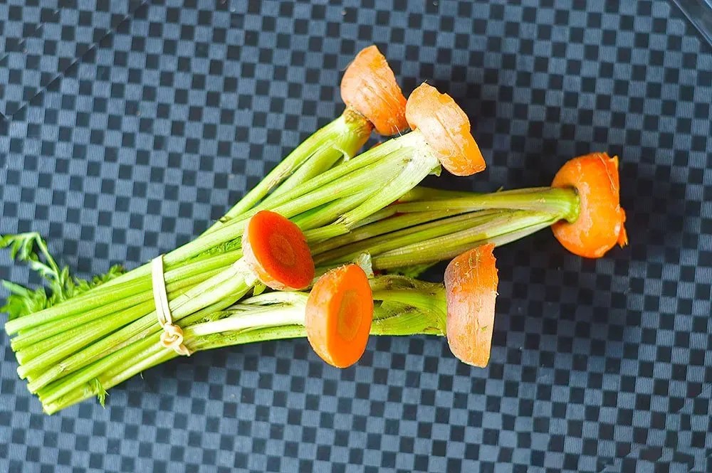 Regrowing Carrots from Leftover Stems Grow Serenity