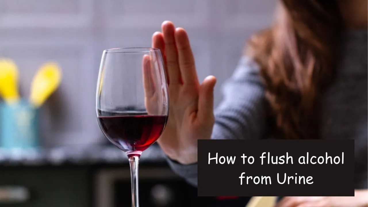 Alcohol Detox Strategies How To Flush Alcohol From Urine Growsplash