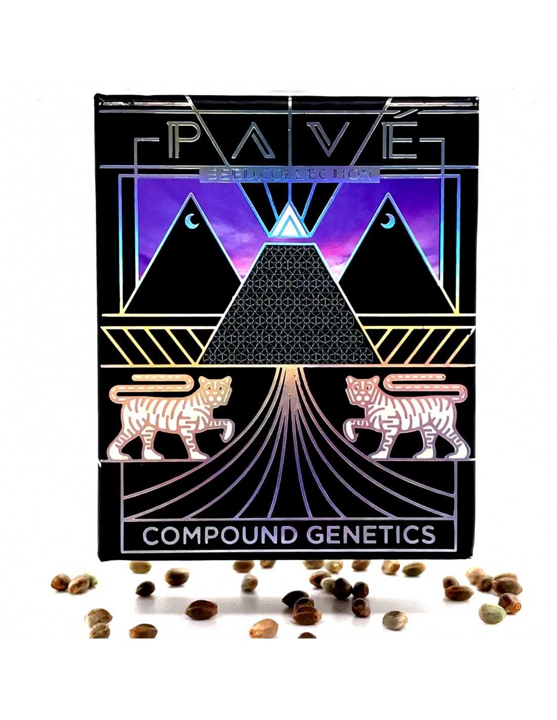 Pavé Runtz Compound