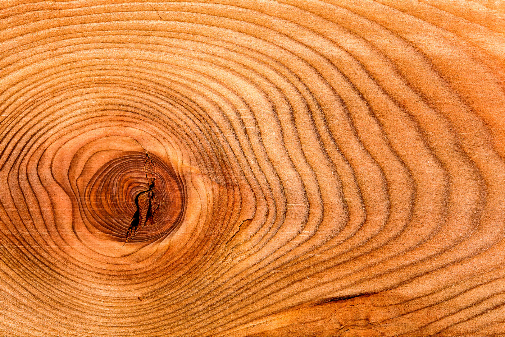 Commercial Growth Ring Innovations