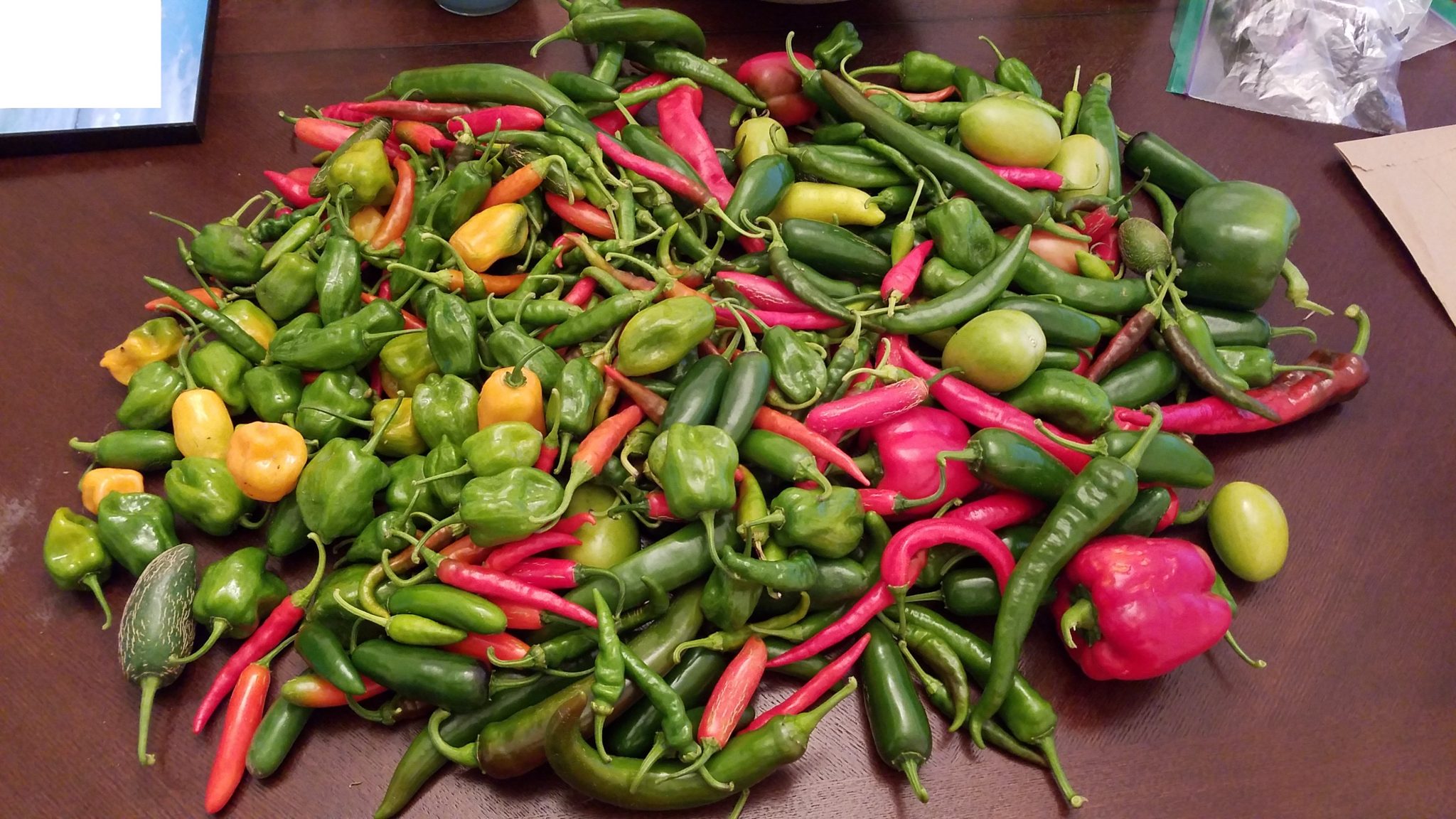 Grow Hot Peppers Grow To Save
