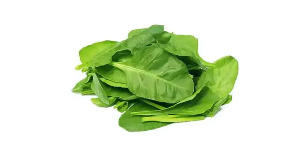 50+ Different Types Of Spinach All Around The World [Detailed List]