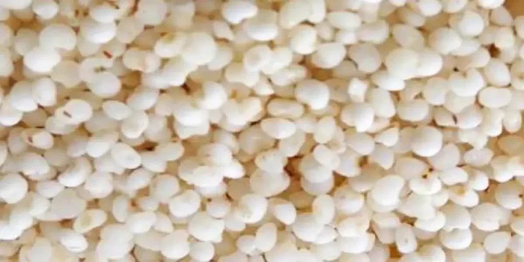 Kodo Millet In Tamil Name [5+ Benefits, Side Effects, Nutrients, Price ]