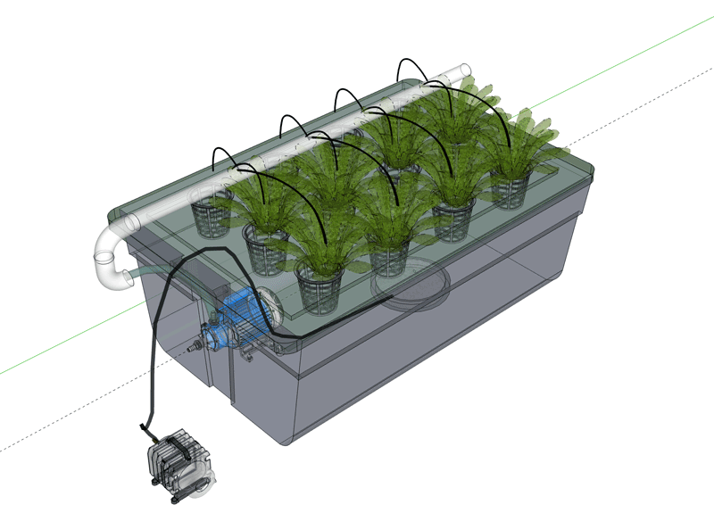 What Is Deep Water Culture? A Practical Breakdown
