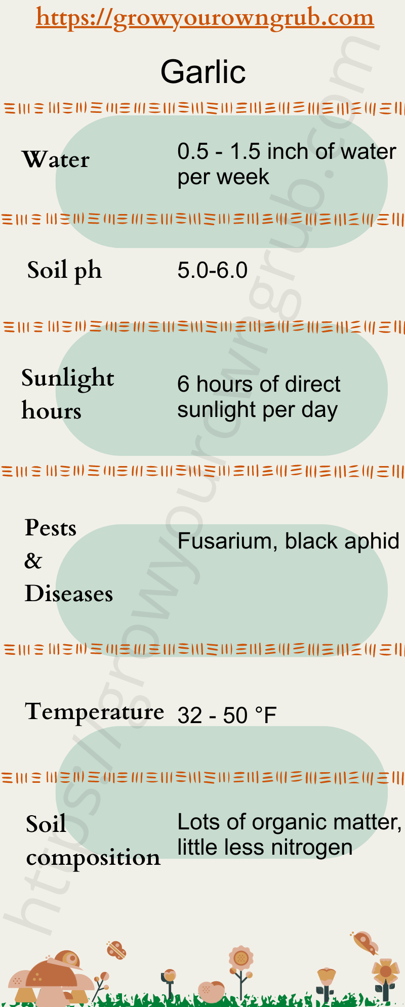 How to grow Garlic at home Grow your own Grub!