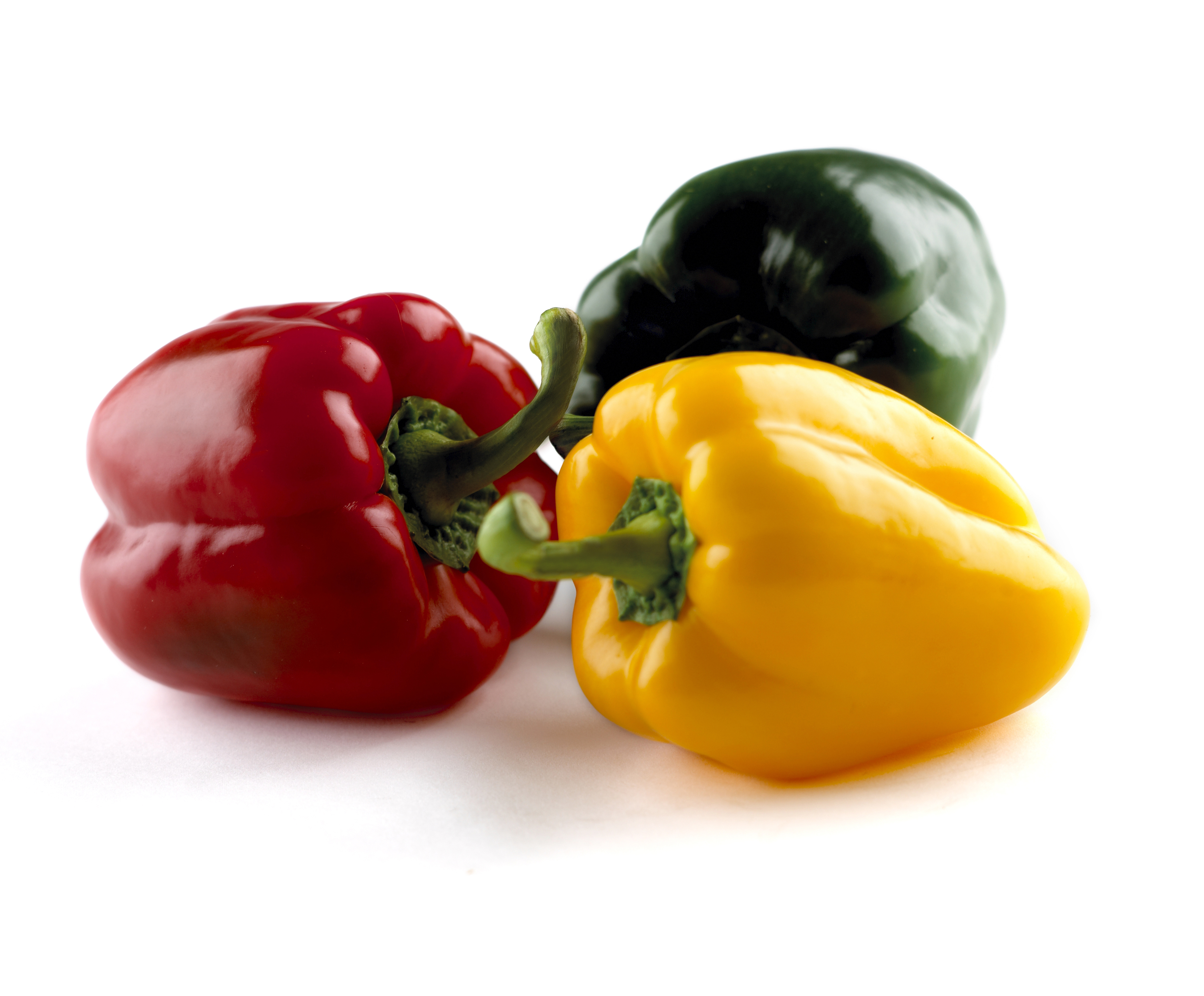 Growing Bell Peppers/Capsicum