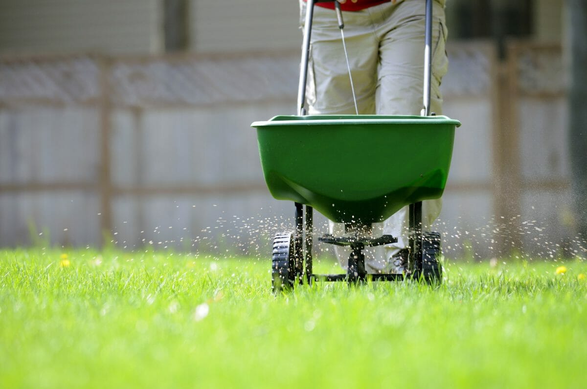 How Often Should You Apply Starter Fertilizer? Grow Your Yard