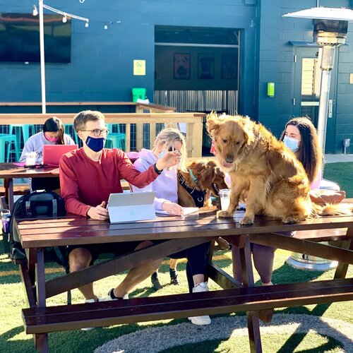 Yappy Hour at Omaha Dog Bar GRRIN