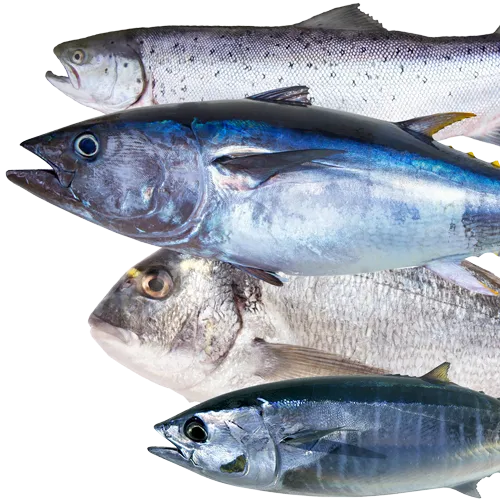 Poke Bowl & Fish Market In Carlsbad Grubby's Poke & Fish Market