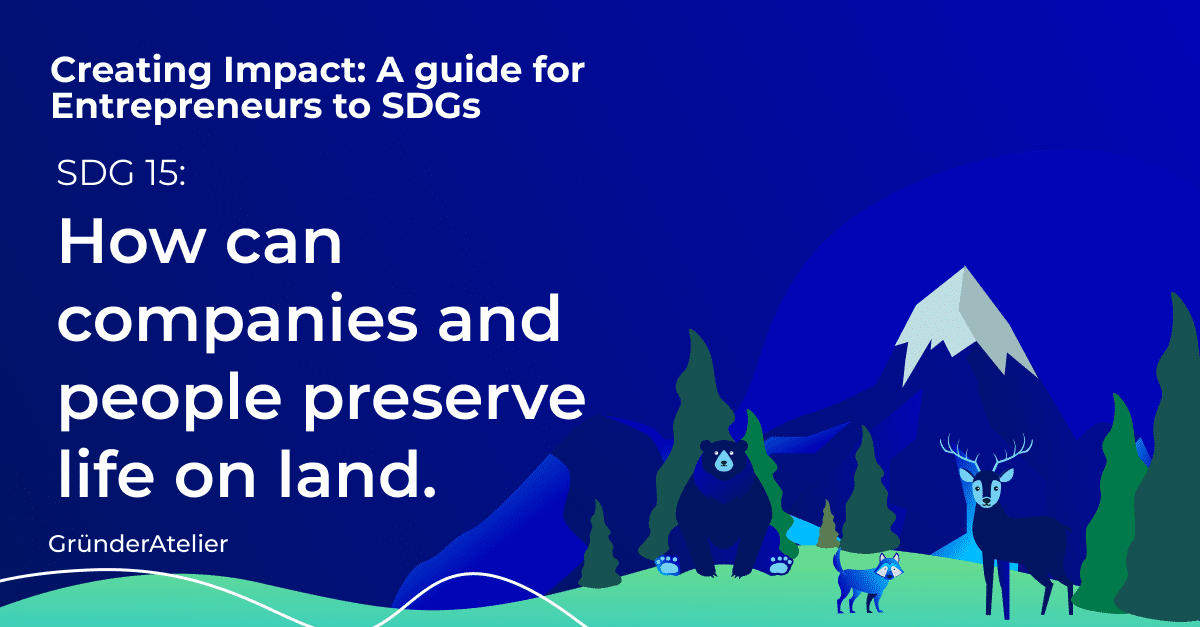 How can companies and people preserve life on land SDG 15