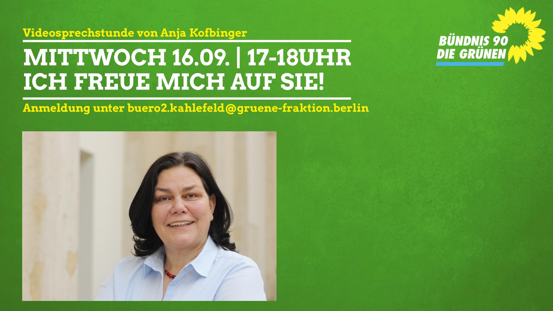 Online Videosprechstunde mit Anja Kofbinger Grüne Fraktion Berlin