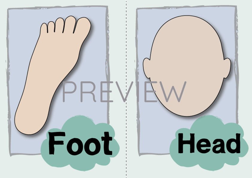 Foot and Head Flashcard Gru Languages